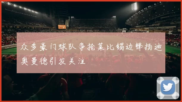 众多豪门球队争抢莱比锡边锋扬迪奥曼德引发关注